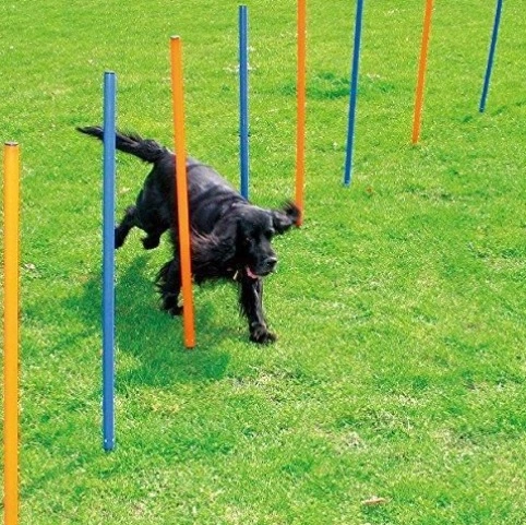 Pawise Hunde Agility Slalom 12 stk pæle - sjov hundetræning
